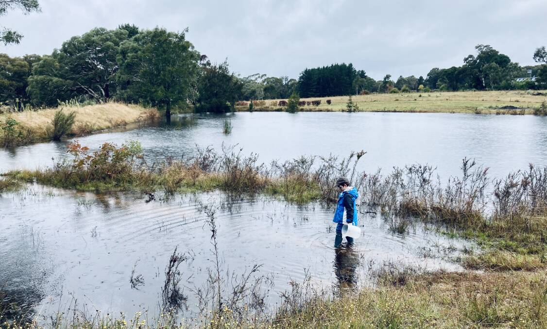 Pic of the week: Christo, age 5, from Berrima, inspecting new waterways that are a result of the recent deluge. Photo: Tanya Galwey 