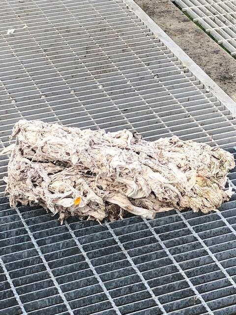 Wipes don't belong in pipes: Council issues warning about 'fatbergs'