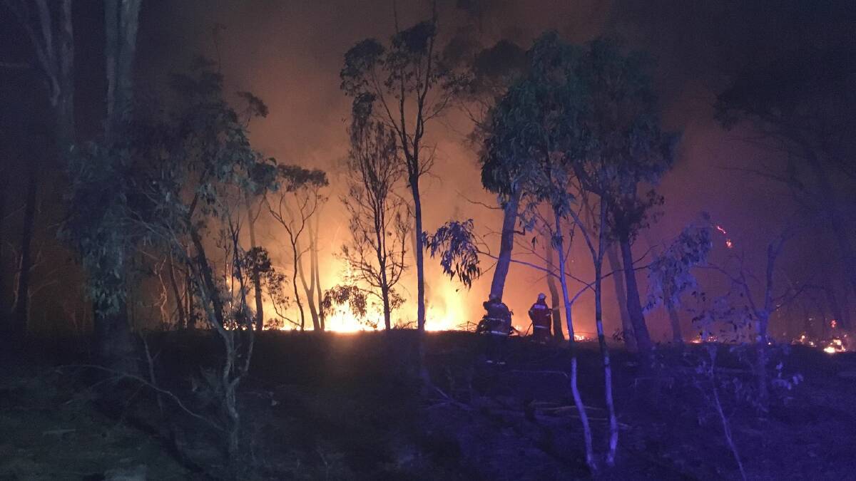 I've lived through many bushfires, but I don't remember anything like this