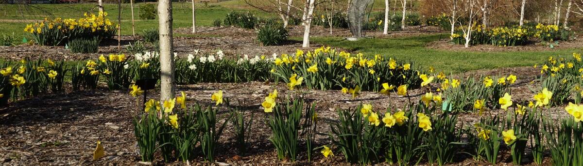 Spring has sprung in the botanic gardens