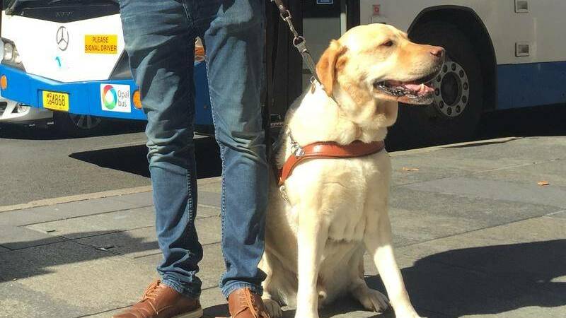 Guide Dogs have access to all areas: letter