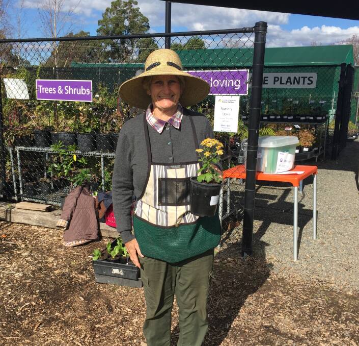 Margaret Roberts is on hand at the Southern Highlands Botanic Gardens Nursery to offer advice when choosing the right plants for your garden.