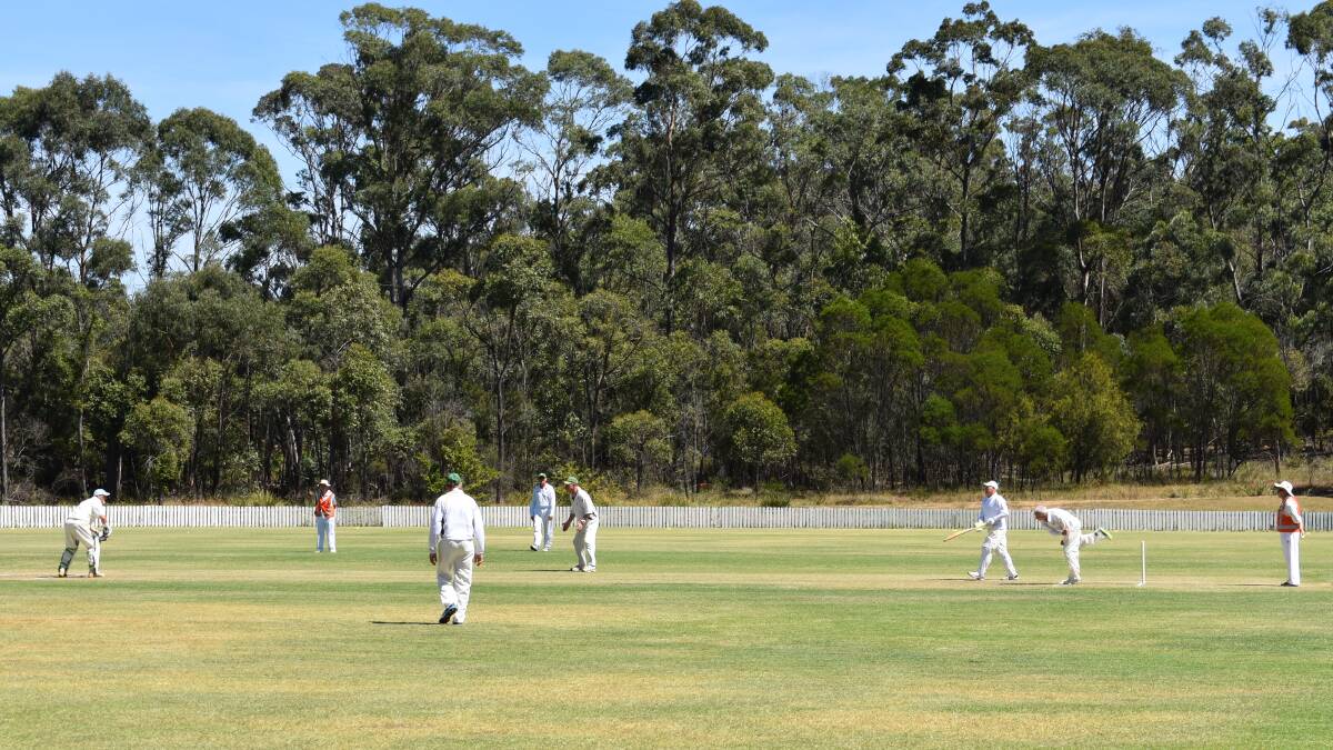 Veterans look forward to some cricket action in the Southern Highlands. Photo supplied