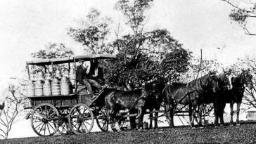 A wagon of milk in urns on the way to the Bee Hive Factory at Robertson. Photos: BDHS