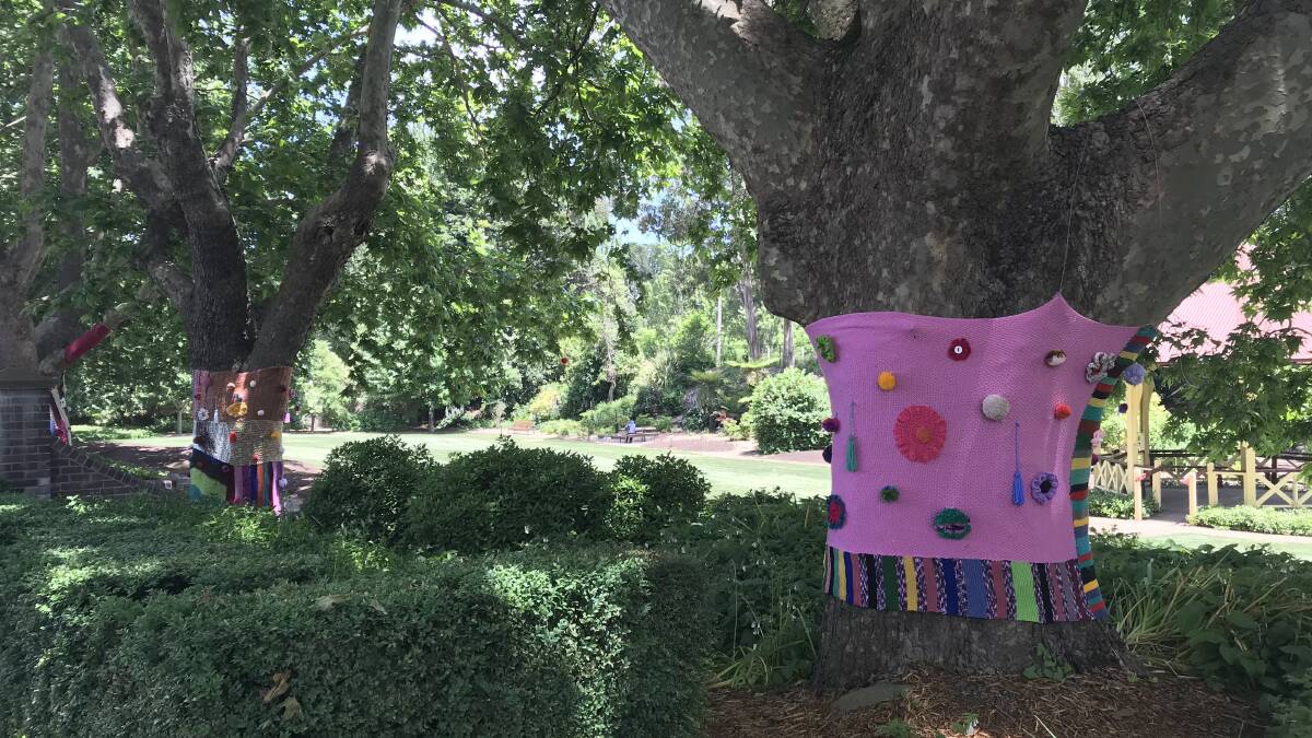 These trees have been wrapped with love in a yarn bombing project.