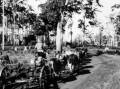 HEAVY WORK: A bullock team hauling a load along Meryla Road, early 1900s. Photo: BDH&FHS