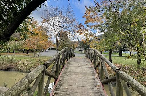 Pic of the week: The bridge across the water along Cherry Tree Walk offers an eye-catching sight. Photo by Briannah Devlin