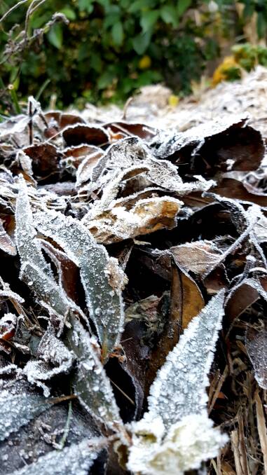 Winter gets frosty in the Southern Highlands