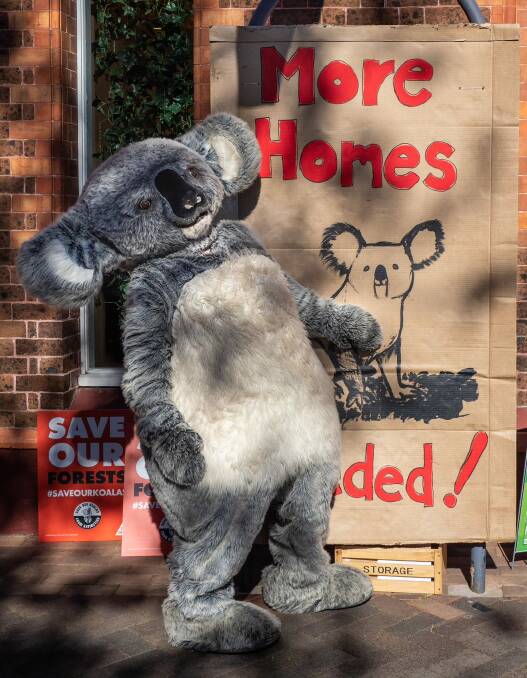 Kranky Koala drives home a message of concern in the Southern Highlands earlier this year. Photo supplied