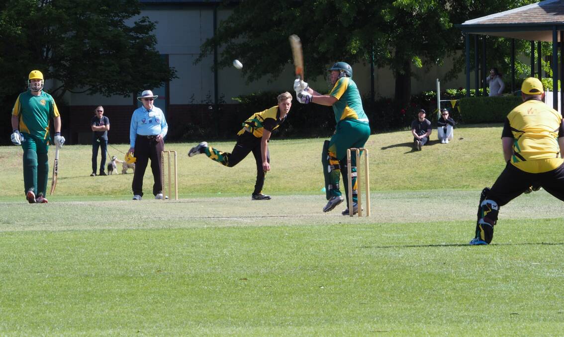 Wingello Tigers and Hill Top/Northern Villages enjoyed the chance to hit the pitch at Bradman Oval in the November 9 first grade Highlands cricket competition. Photo supplied