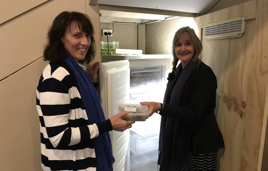 Volunteers Kathy Cranshaw and Lyn Ray stock the freezer with prepared meals donated by Mittagong RSL Club.