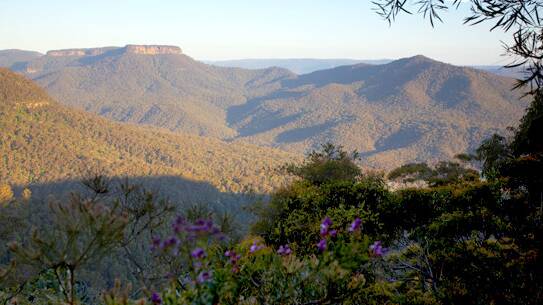 GRAND VISTA: A view across Bundanoon Creek gorge in Morton National Park, taken some years before the recent fires, showing Mt Meryla on the skyline at left. Photo: BDH&FHS
