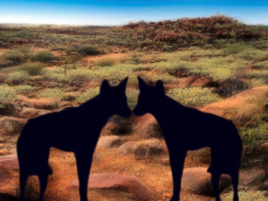 The Dingo Project: The Gatekeepers, 2021. Teena McCarthy. Image courtesy of the artist.
