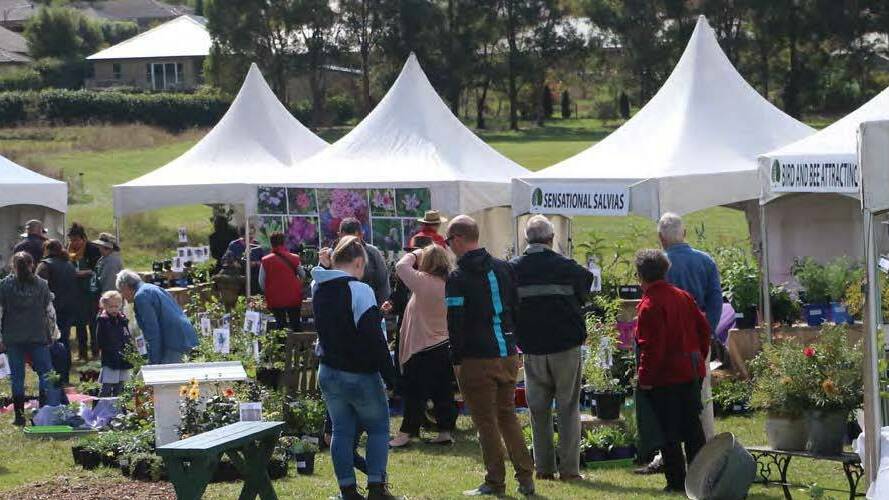 The Plant Fair has become a popular attraction on the Southern Highlands Botanic Gardens calendar and a major fundraising event for the gardens. Photo file