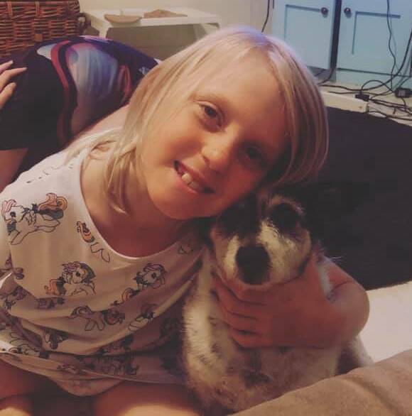Have you seen Rookie? A little girl is missing her four-legged friend. Photo: supplied.