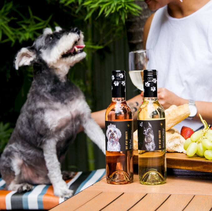 Fifty cents from every purchase of Sit Stay Society wines will go toward PetRescue. Photo: Supplied