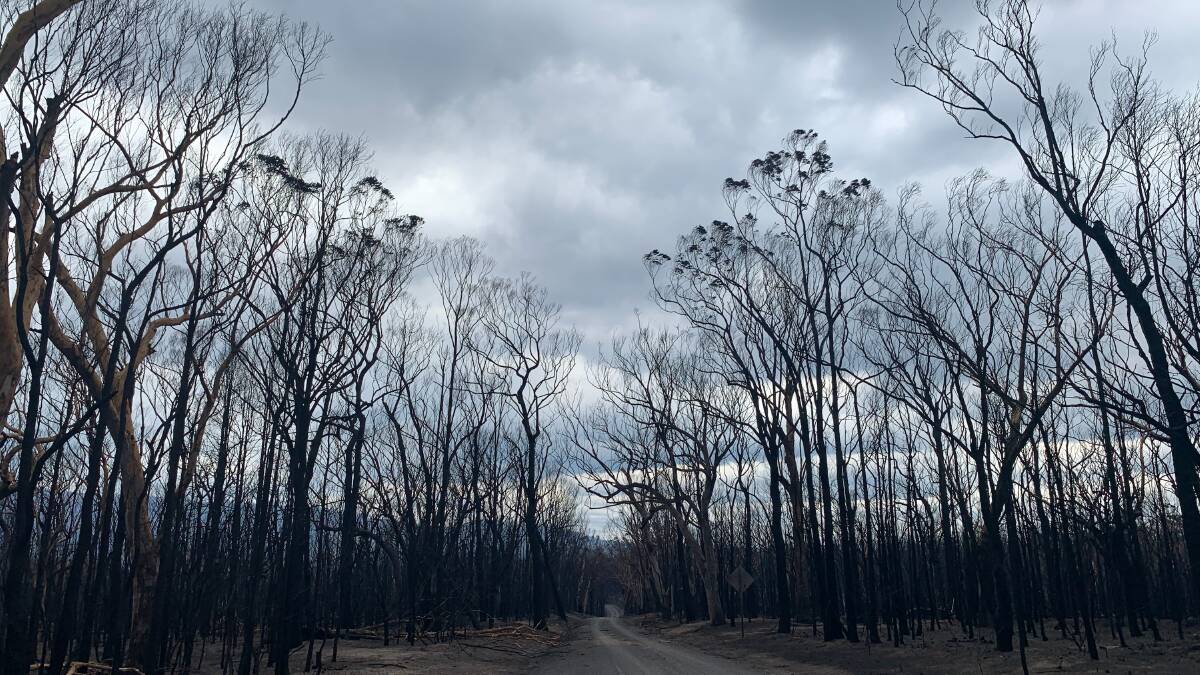 Volunteer your time and help rebuild bushfire affected communities. Photo: supplied. 