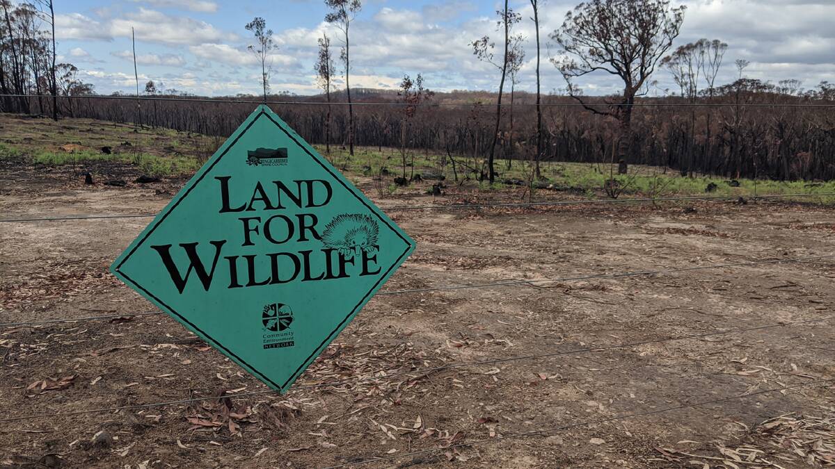 Land for Wildlife is a council-led private land conservation for people affected by the 2019/2020 bushfires. Photo: Wingecarribee Shire Council