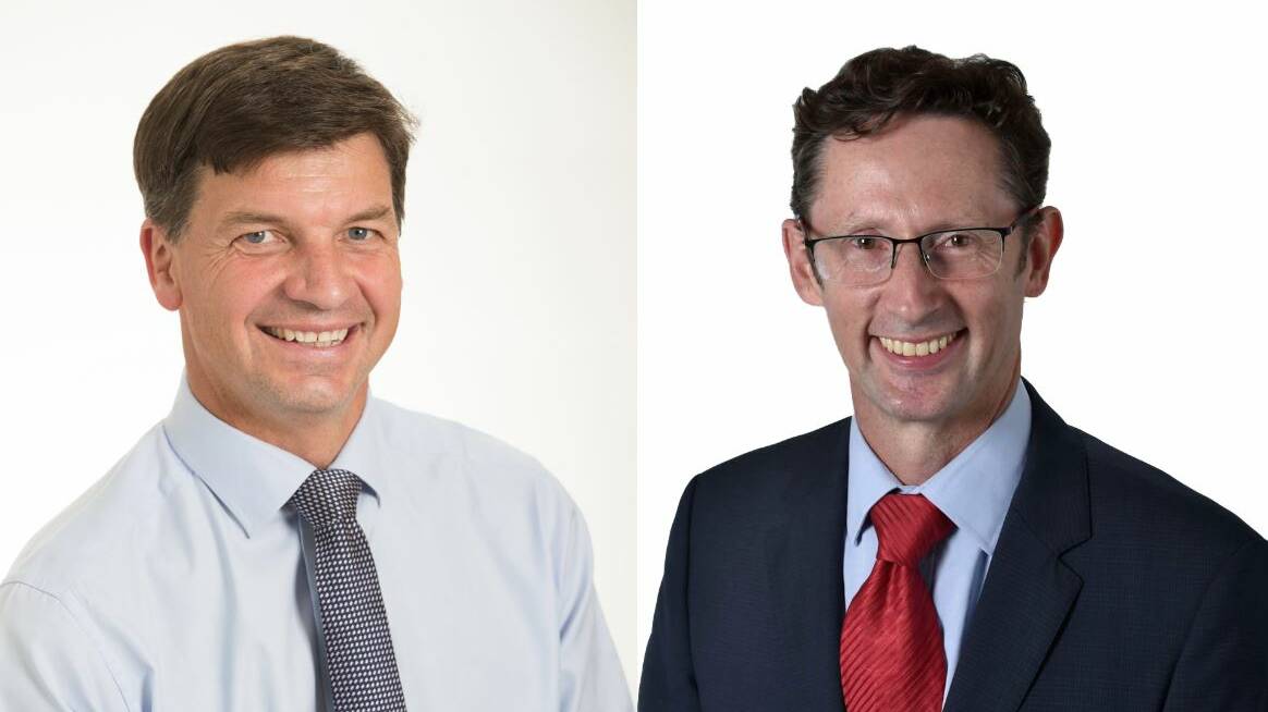 Angus Taylor and Stephen Jones are both vying for re-election in the electorates of Hume and Whitlam. Photo: file.