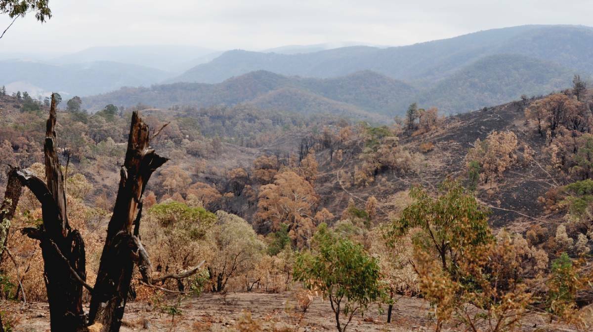 The Green Wattle blaze burnt land around the Wombeyan Caves area. Photo: Hannah Sparks