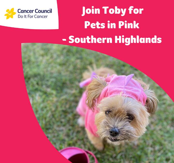Southern Highlands pets go pink in October for Breast Cancer awareness month
