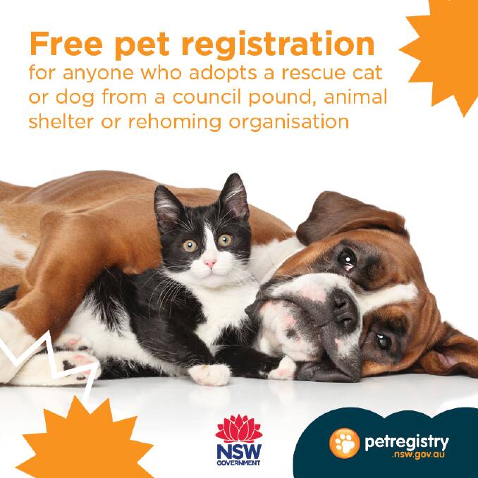 Free pet registration for rescued animals
