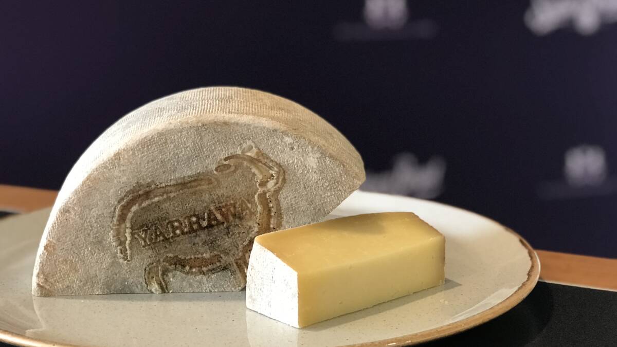 Perpetual winner: Pecora Dairy's award winning Yarrawa cheese. Picture: Monde Photography. 
