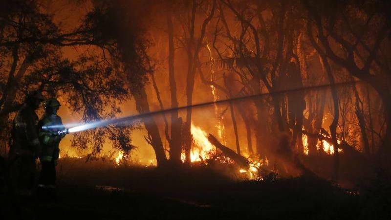 Community asked for continued assistance as bushfire investigations begin