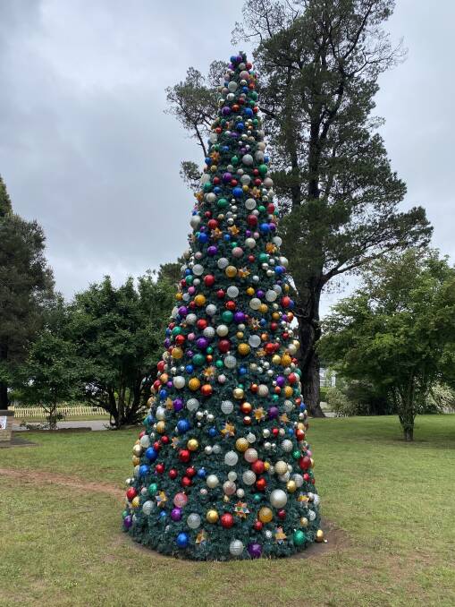 The Christmas Tree in Berrima stands tall. Picture: Briannah Devlin. 