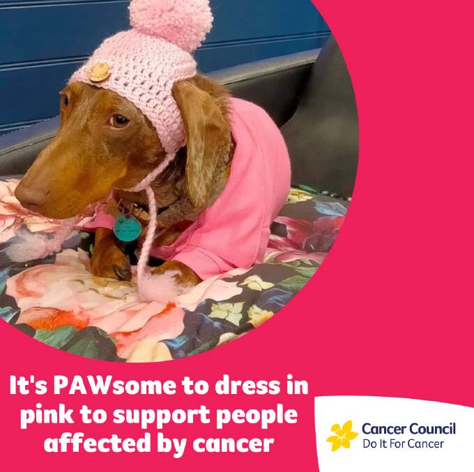 Get ready to smile, Southern Highlands pets are encouraged to go pink to support Cancer Council NSW. 