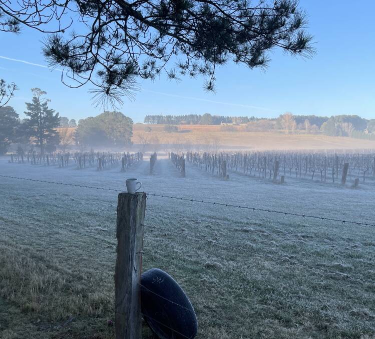 Cool climate wines produce a unique and distinct flavour. Photo: supplied