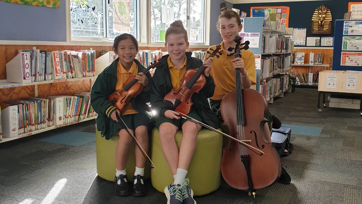 Community orchestra group Highlands Strings will perform at St Jude's on April 4. Photo: supplied.