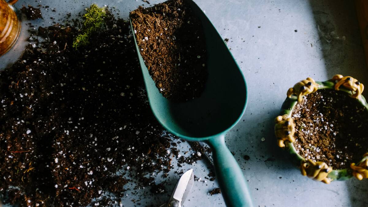 Council to celebrate compost awareness week