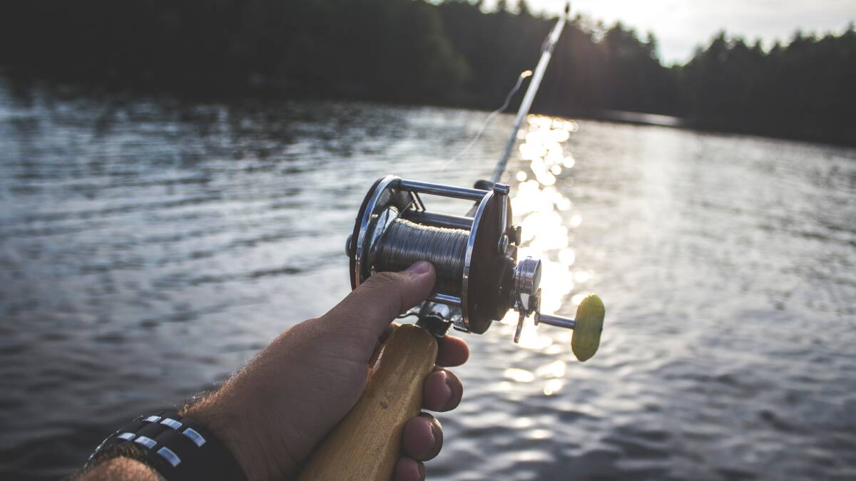 Love fishing? Recreational fishers needed to help Burrill Lake saltmarshes shine