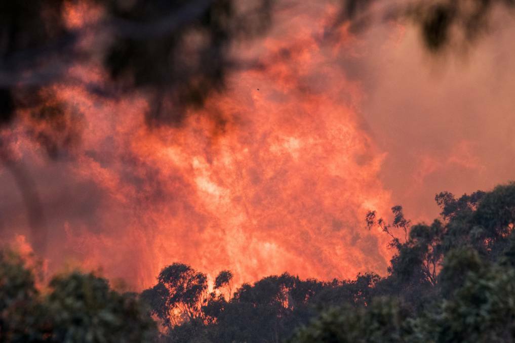 Bushfire grants will open at the end of the month. Photo: File