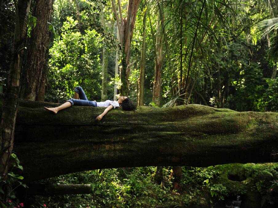 NATURE: Forest bathing workshops will be held in the Southern Highlands. The practice has similiar benefits to midfulness. Photo: supplied