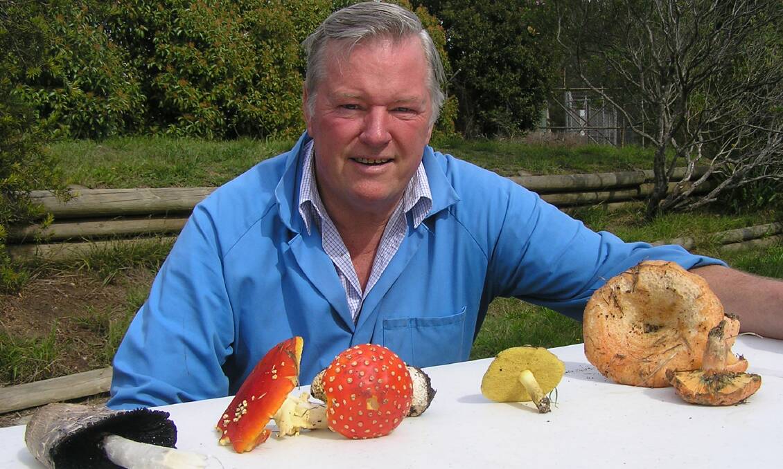 Dr Noel Arrold of Lin Sun Mushrooms with some commonly grown fungi of the Highlands. Photo: supplied