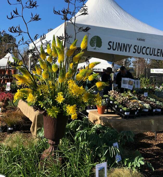 SUNNY: The Southern Highlands Autumn Gardens Weekend was very popular. 