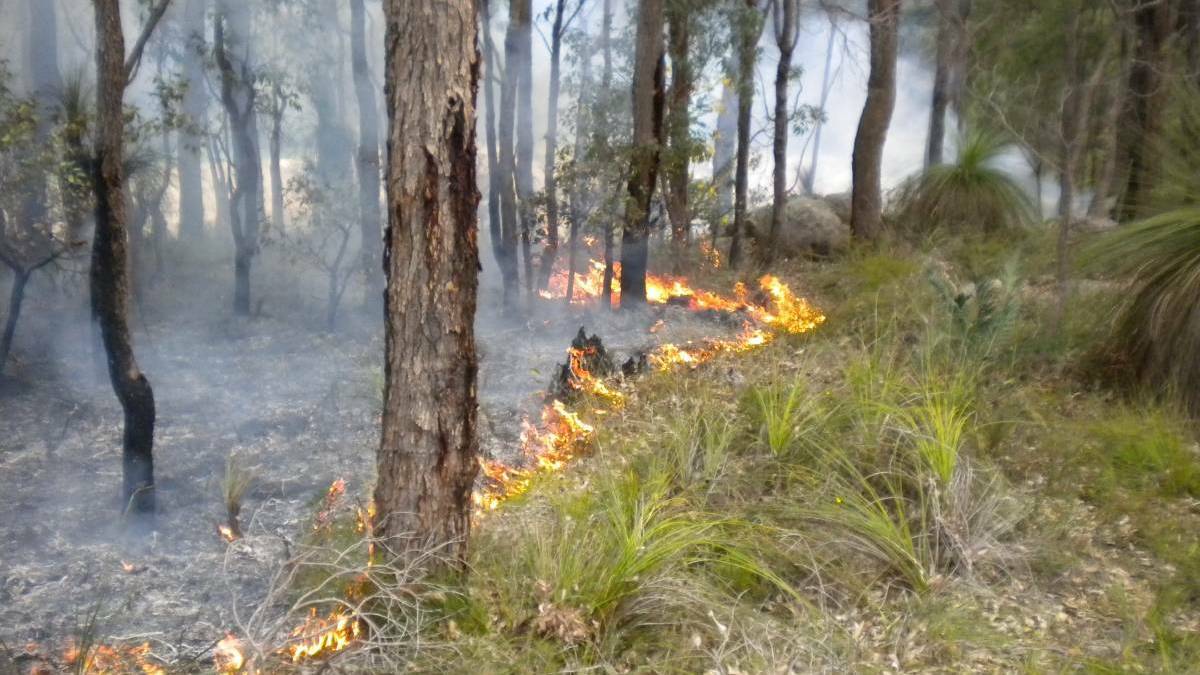 RFS: Hazard reduction burns will be carried out in the next few days. Photo: supplied.