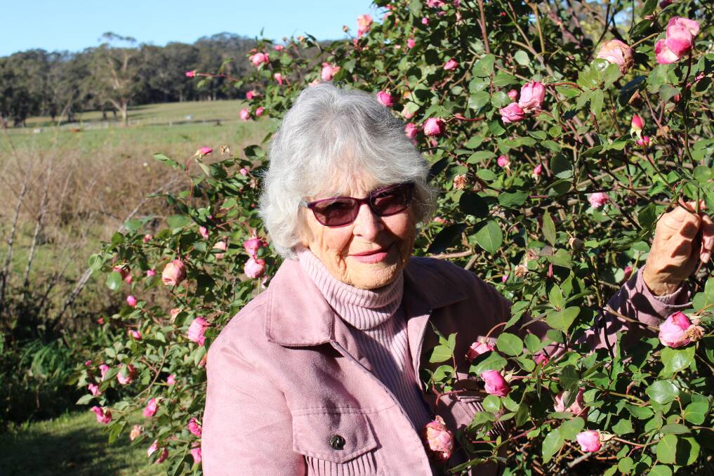 GREEN THUMB: Suzanne Kingsford has received an OAM for horticulture. Photo: Vera Demertzis. 