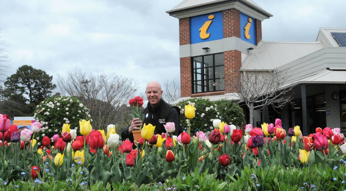 TIME TO VOTE: Steve Rosa has encouraged Highlanders to vote for The Big Tulip. Photo: Lauren Strode