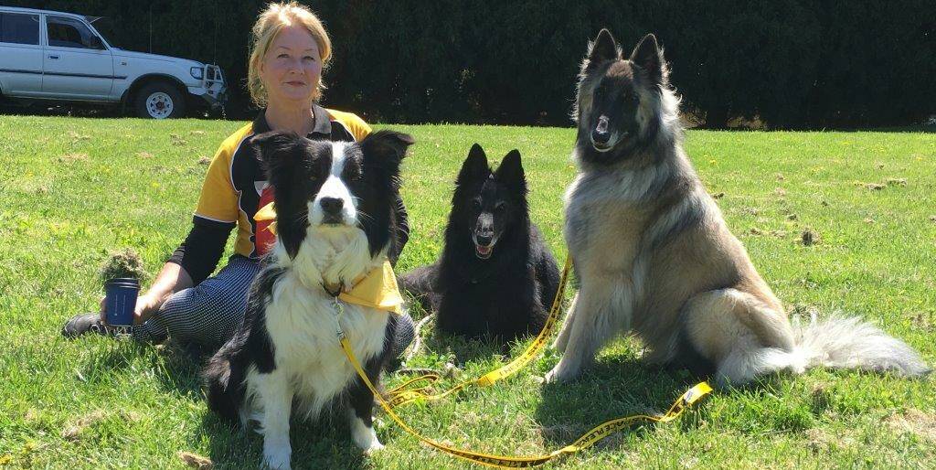 DOGGIE DAY OUT: Michele Martin relaxes with her dogs at the inaugural Robertson dog walk that was held in conjunction with the Robertson Heritage Railway Station's annual waratah festival. Photo supplied