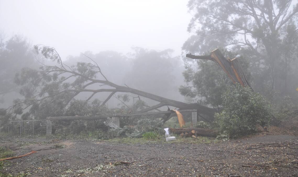 Damage along Long Point Lookout Road at Tallong on Thursday morning. Photo: Louise Thrower. 