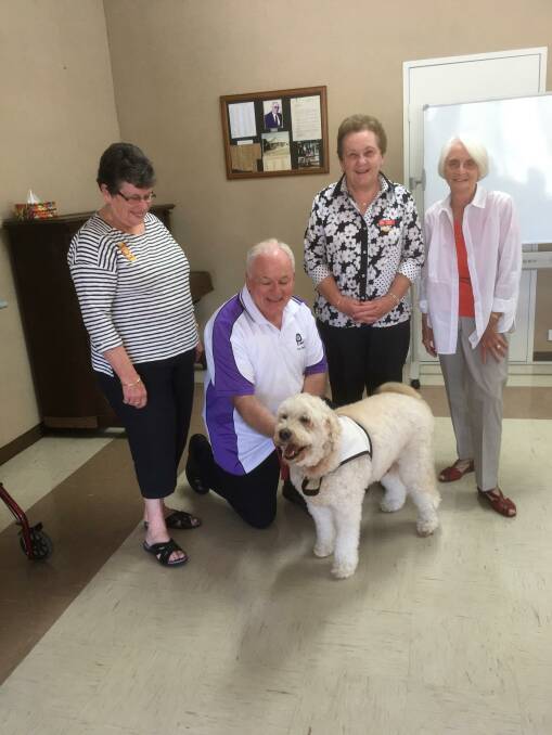 Bing pictured with Moss Vale Hospital Auxiliary president Sandra D'Adam, secretary Penny Barcicki and his owners David and Lorraine. Photo supplied. 