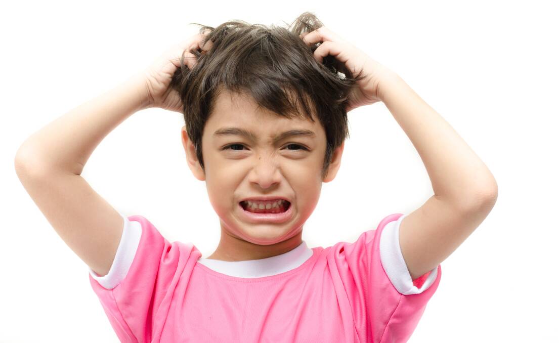 Back to school means head lice season is here. Photo: Shutterstock. 