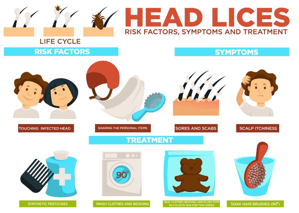 Your guide to head lice. Photo: Shutterstock. 