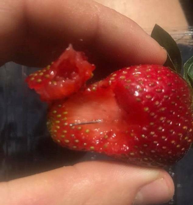 Contamination ‘may affect six brands’ of strawberries