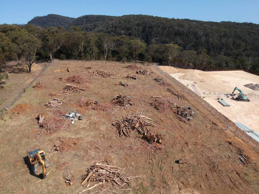 The trees were part of an endangered Southern Highlands Shale Woodlands Ecological Community. Photo: Supplied