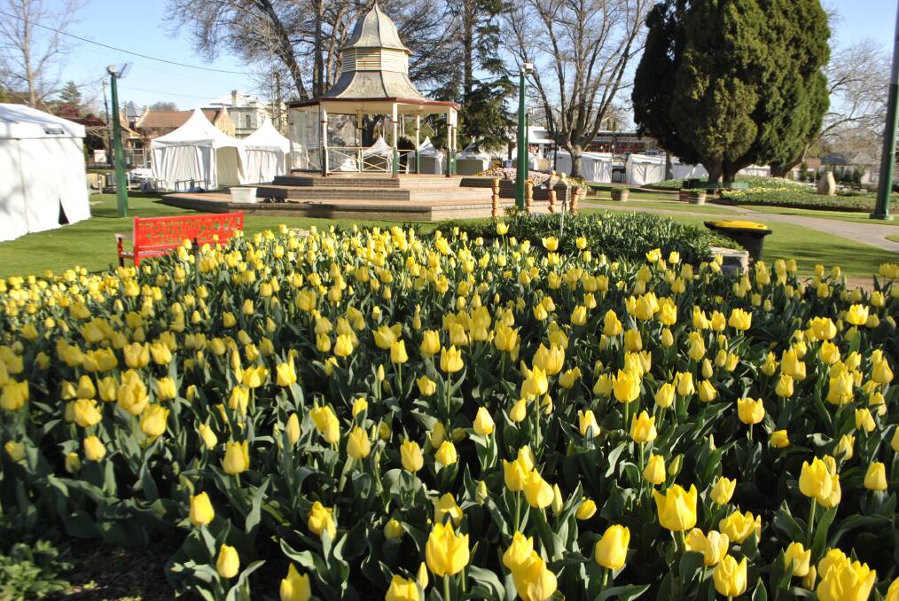 Tulip Time is cancelled this year but you can still get out and enjoy the Southern Highlands this spring. Photo: File