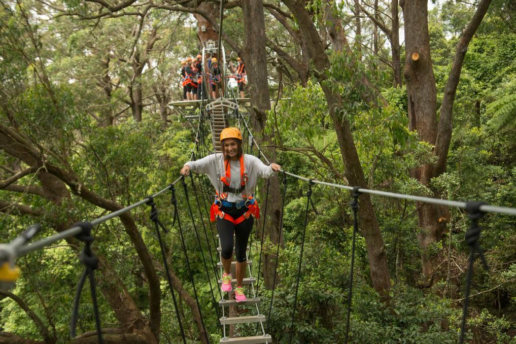 Explore the outdoors at the Illawarra Fly these school holidays. Photo: File
